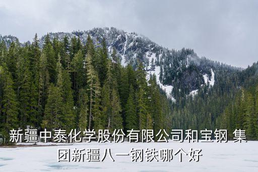 新疆中泰化學(xué)股份有限公司和寶鋼 集團新疆八一鋼鐵哪個好