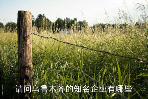 請(qǐng)問(wèn)烏魯木齊的知名企業(yè)有哪些