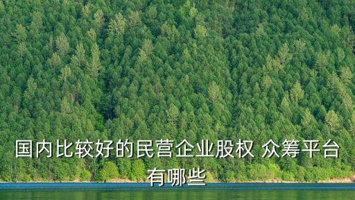 國內(nèi)比較好的民營企業(yè)股權(quán) 眾籌平臺(tái)有哪些