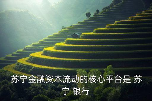  蘇寧金融資本流動(dòng)的核心平臺是 蘇寧 銀行