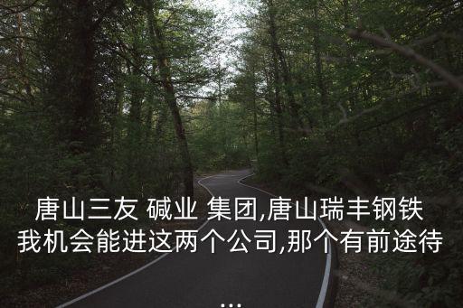 唐山三友 堿業(yè) 集團,唐山瑞豐鋼鐵我機會能進這兩個公司,那個有前途待...
