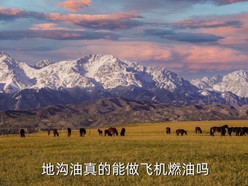  地溝油真的能做飛機燃油嗎