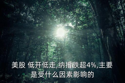 美股 低開(kāi)低走,納指跌超4%,主要是受什么因素影響的