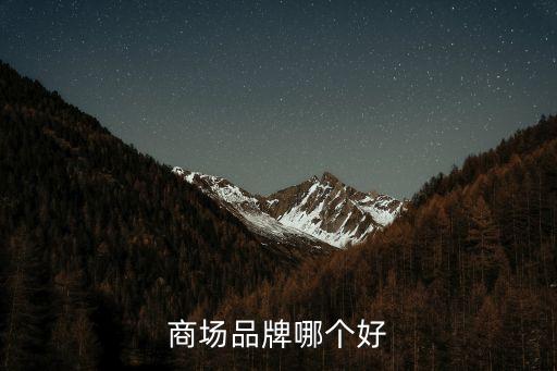 商場品牌哪個好