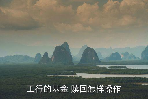 銀行柜臺(tái)買(mǎi)的基金不開(kāi)通網(wǎng)銀能贖回