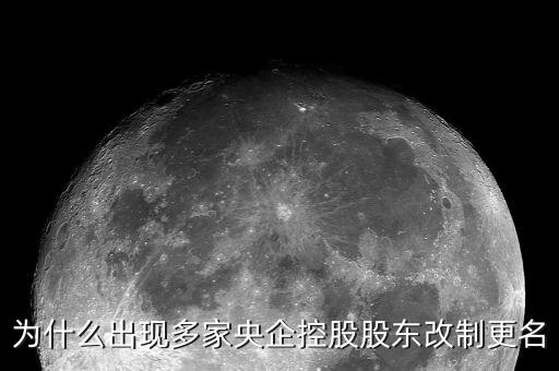 中遠集團改革