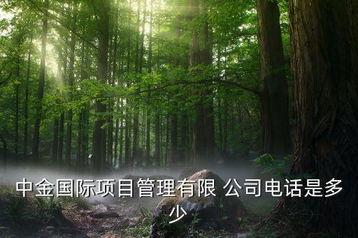 中金國際項(xiàng)目管理有限 公司電話是多少