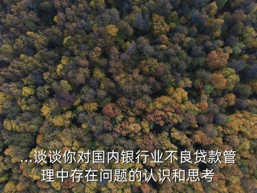 ...談?wù)勀銓?duì)國(guó)內(nèi)銀行業(yè)不良貸款管理中存在問題的認(rèn)識(shí)和思考