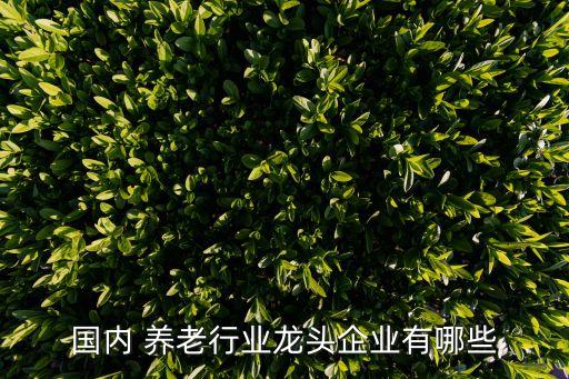 保險公司養(yǎng)老地產項目,泰康人壽保險公司養(yǎng)老社區(qū)