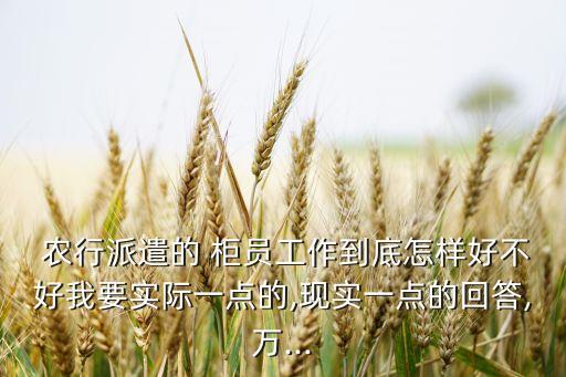  農行派遣的 柜員工作到底怎樣好不好我要實際一點的,現(xiàn)實一點的回答,萬...