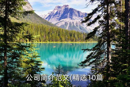 公司簡介范文(精選10篇