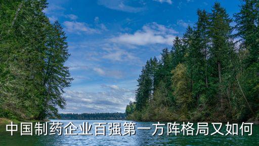 中國制藥企業(yè)百強(qiáng)第一方陣格局又如何