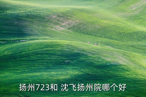 揚(yáng)州723和 沈飛揚(yáng)州院哪個好