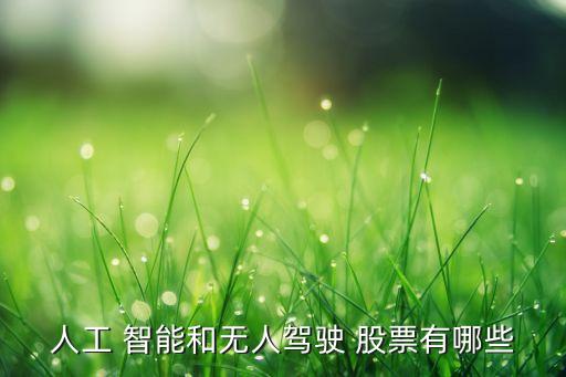 人工 智能和無(wú)人駕駛 股票有哪些