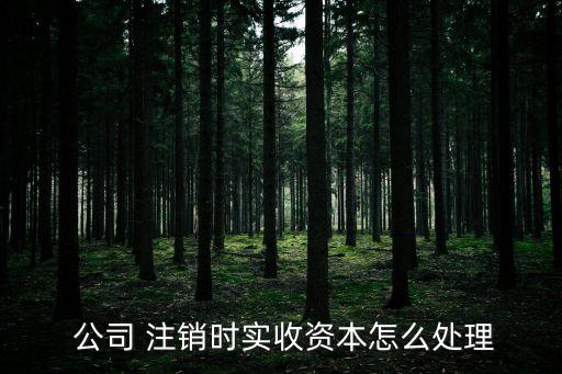  公司 注銷時(shí)實(shí)收資本怎么處理