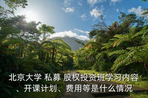 私募股權基金主理銀行業(yè)務案例分析