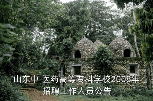山東中 醫(yī)藥高等?？茖W(xué)校2008年 招聘工作人員公告