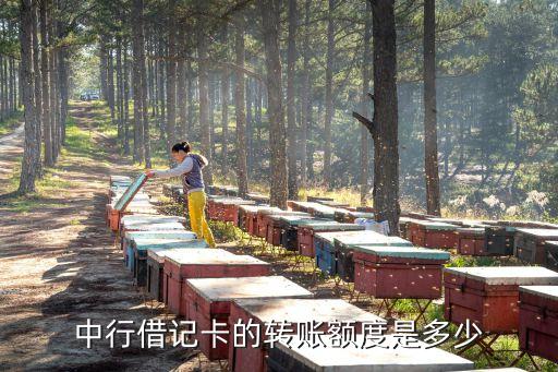 中國銀聯(lián)線下交易額