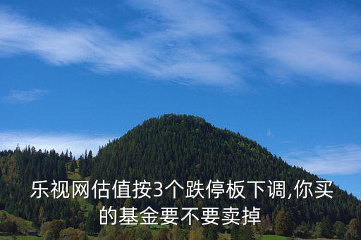  樂視網(wǎng)估值按3個(gè)跌停板下調(diào),你買的基金要不要賣掉
