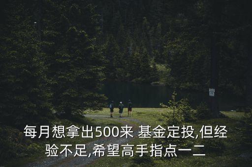 每月想拿出500來 基金定投,但經(jīng)驗不足,希望高手指點一二