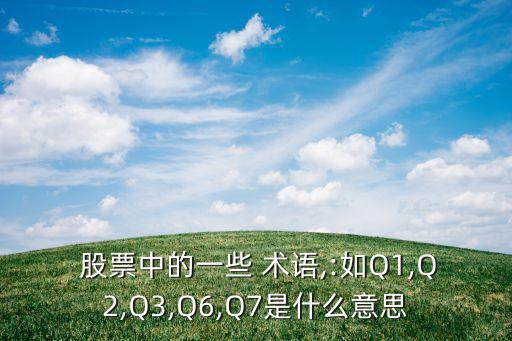 股票財(cái)務(wù)指標(biāo)術(shù)語及意義,股票里的每個術(shù)語有什么意義