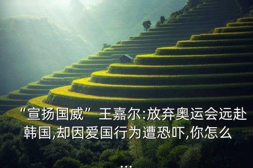“宣揚(yáng)國威”王嘉爾:放棄奧運(yùn)會(huì)遠(yuǎn)赴 韓國,卻因愛國行為遭恐嚇,你怎么...