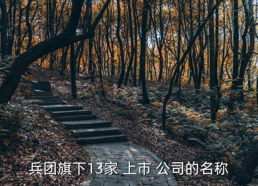 新疆準備上市公司,新疆上市公司全部名單