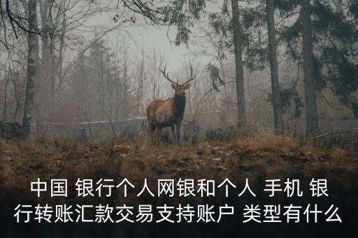 中國 銀行個人網(wǎng)銀和個人 手機(jī) 銀行轉(zhuǎn)賬匯款交易支持賬戶 類型有什么