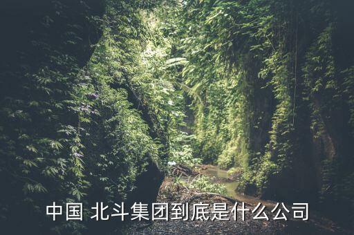 中國 北斗集團(tuán)到底是什么公司