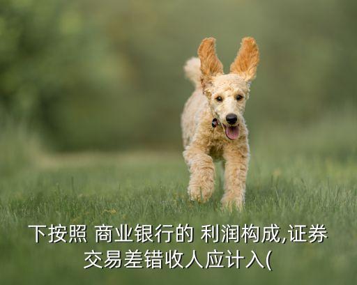 下按照 商業(yè)銀行的 利潤構(gòu)成,證券交易差錯收人應(yīng)計(jì)入(