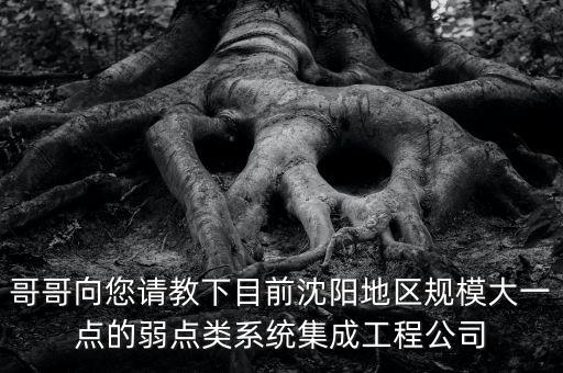 哥哥向您請教下目前沈陽地區(qū)規(guī)模大一點的弱點類系統(tǒng)集成工程公司
