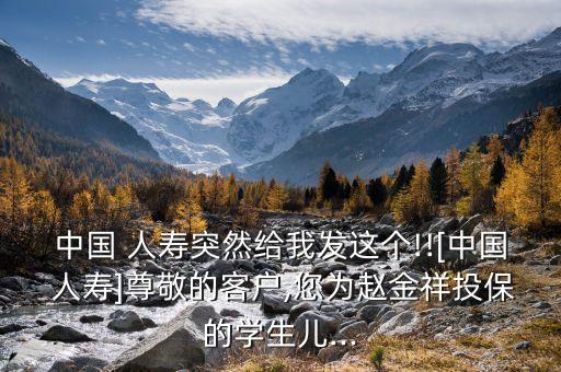 中國人壽說我保全服務生效