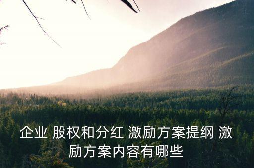 企業(yè) 股權(quán)和分紅 激勵方案提綱 激勵方案內(nèi)容有哪些