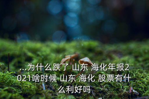 ...為什么跌了 山東 ?；陥?bào)2021啥時(shí)候 山東 ?；?股票有什么利好嗎