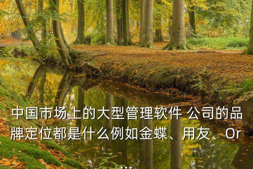 中國(guó)市場(chǎng)上的大型管理軟件 公司的品牌定位都是什么例如金蝶、用友、Or...