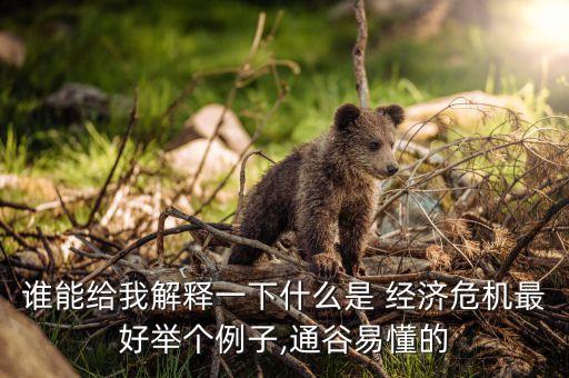 誰能給我解釋一下什么是 經(jīng)濟(jì)危機(jī)最好舉個(gè)例子,通谷易懂的