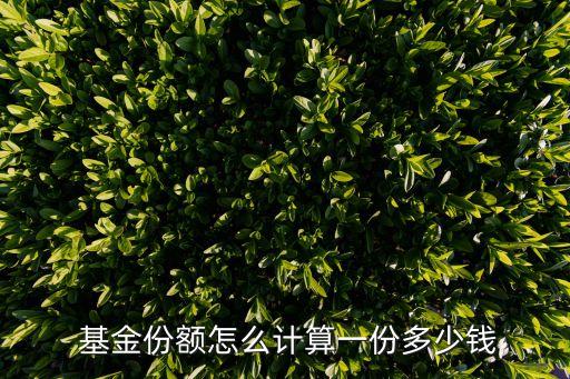  基金份額怎么計(jì)算一份多少錢