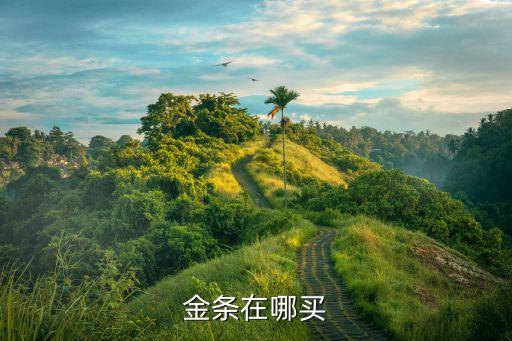 金條在哪買