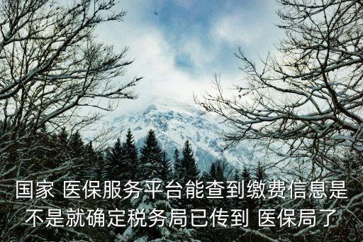 國家 醫(yī)保服務(wù)平臺能查到繳費(fèi)信息是不是就確定稅務(wù)局已傳到 醫(yī)保局了