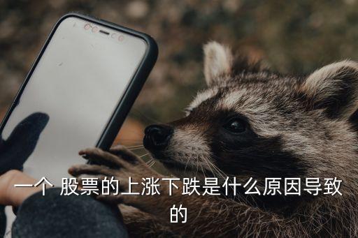 一個 股票的上漲下跌是什么原因?qū)е碌? class=