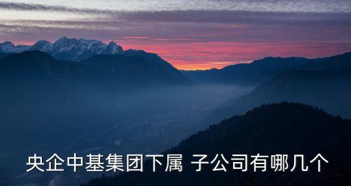  央企中基集團下屬 子公司有哪幾個