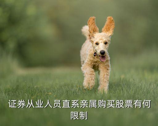  證券從業(yè)人員直系親屬購買股票有何限制
