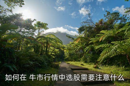 牛市怎么買(mǎi)股票,牛市買(mǎi)股票型基金還是指數(shù)基金