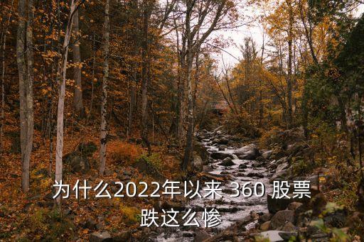 為什么2022年以來(lái) 360 股票跌這么慘