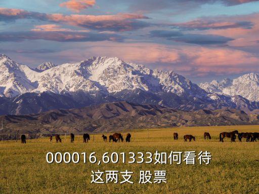 000016,601333如何看待這兩支 股票