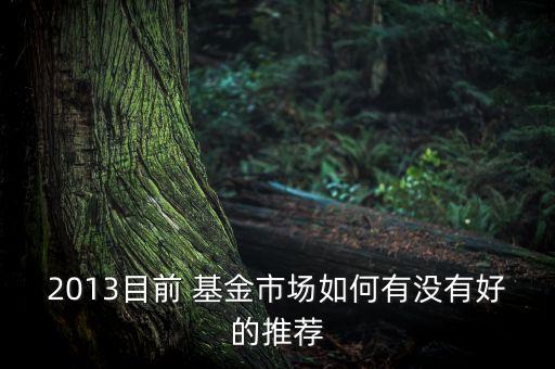 2013目前 基金市場(chǎng)如何有沒(méi)有好的推薦