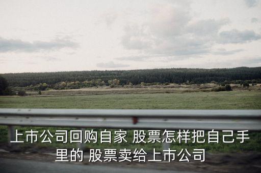 上市公司回購(gòu)自家 股票怎樣把自己手里的 股票賣(mài)給上市公司