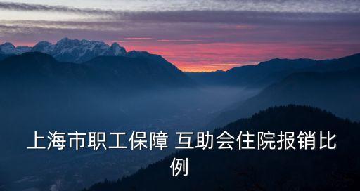 上?；ブt(yī)療保險(xiǎn)
