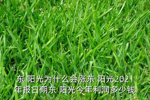 東 陽光為什么會漲東 陽光2021年報(bào)日期東 陽光今年利潤多少錢