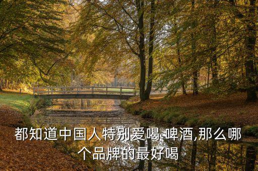 都知道中國(guó)人特別愛(ài)喝 啤酒,那么哪個(gè)品牌的最好喝